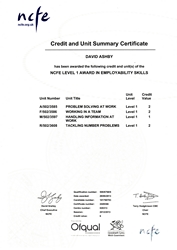 Employability Skills Certificate 2